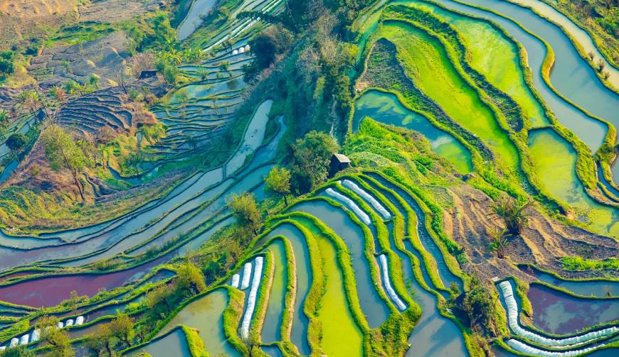 走进颍上县TVC拍摄：解锁本地化场景与创意镜头的完美融合